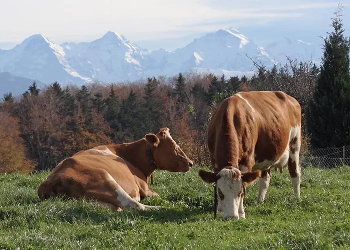 아파트 Mountain - Ein Aufenthalt Mit Weitblick Niedermuhlern