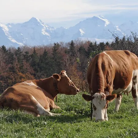 Appartement Mountain - Ein Aufenthalt Mit Weitblick Niedermuhlern